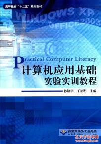 計算機應用基礎實驗實訓教程 軟件開發(fā)入門實踐