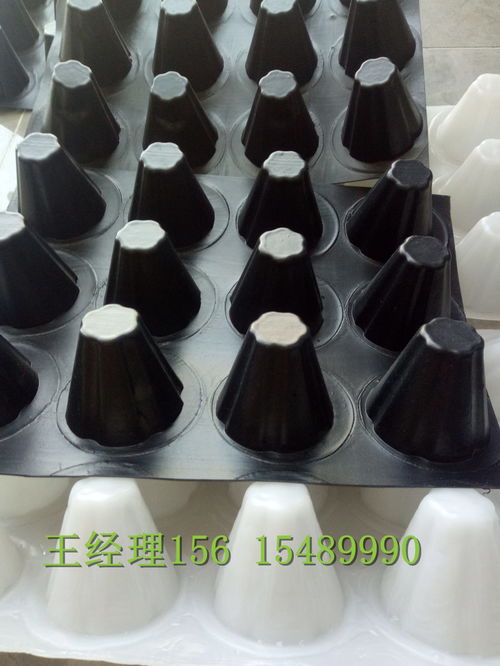 瑞金H20排水板 創(chuàng)鴻品質(zhì)，構(gòu)筑堅(jiān)實(shí)防潮基石
